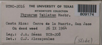 Image Associated With the Occurence